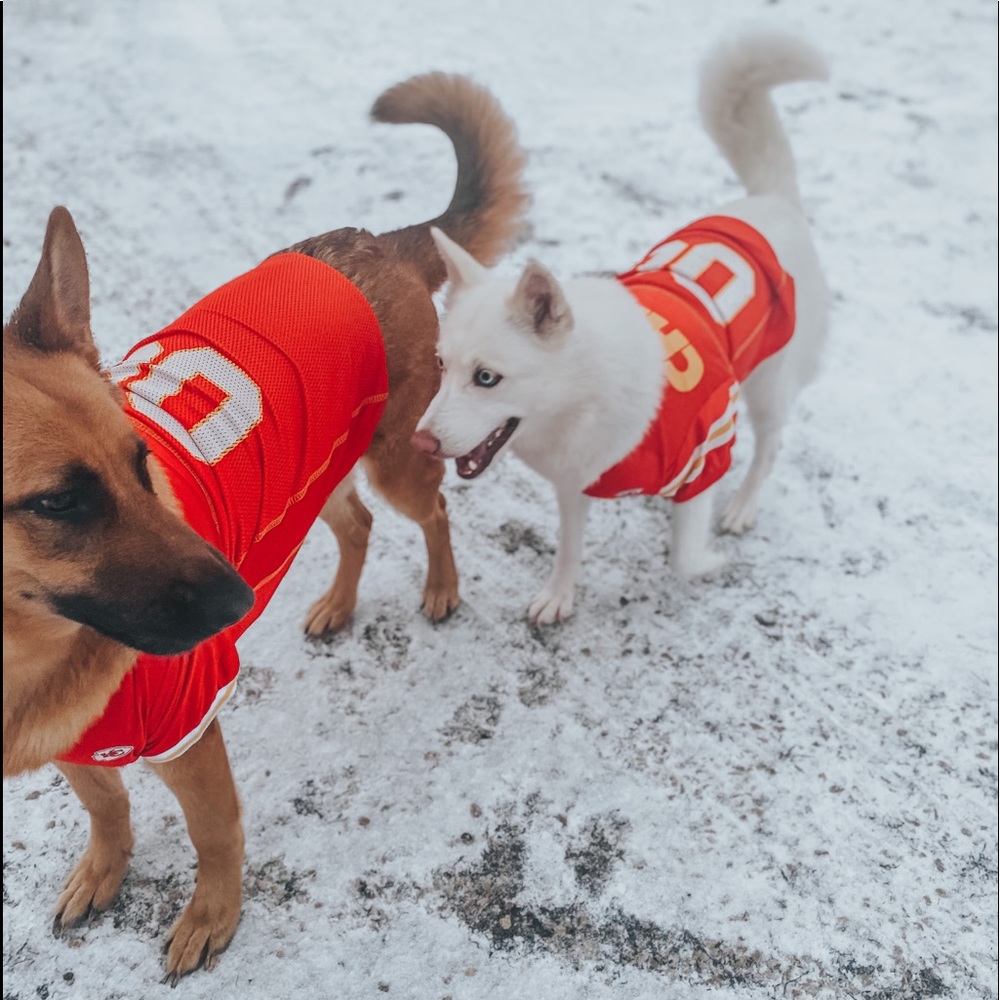 Dog Chiefs Jersey